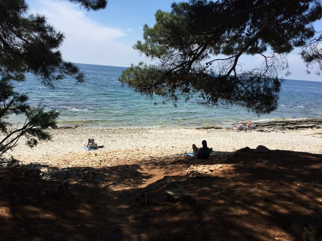 Holiday Park Mimoza Basanija Bagian luar foto