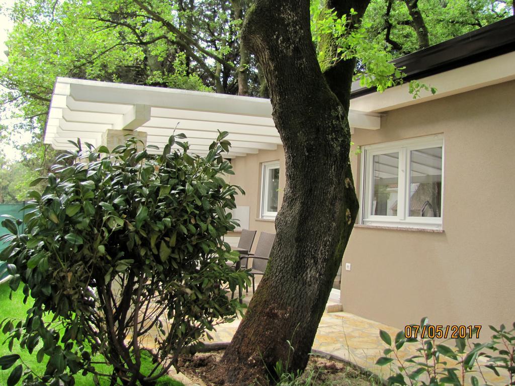 Holiday Park Mimoza Basanija Bagian luar foto