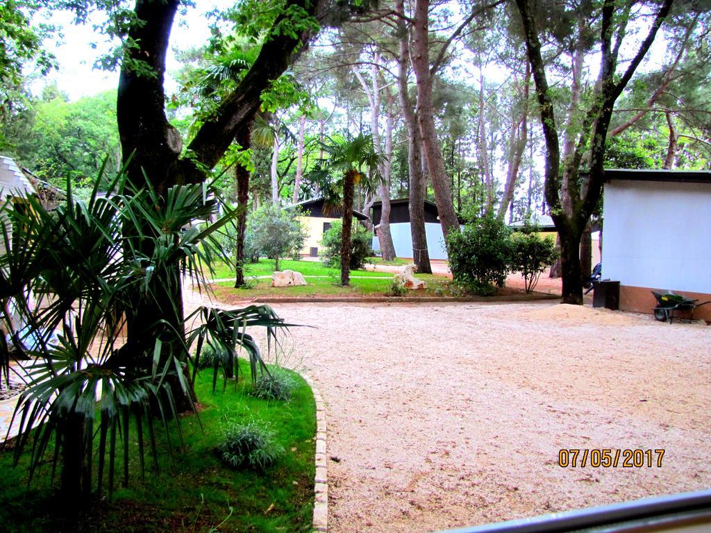 Holiday Park Mimoza Basanija Bagian luar foto